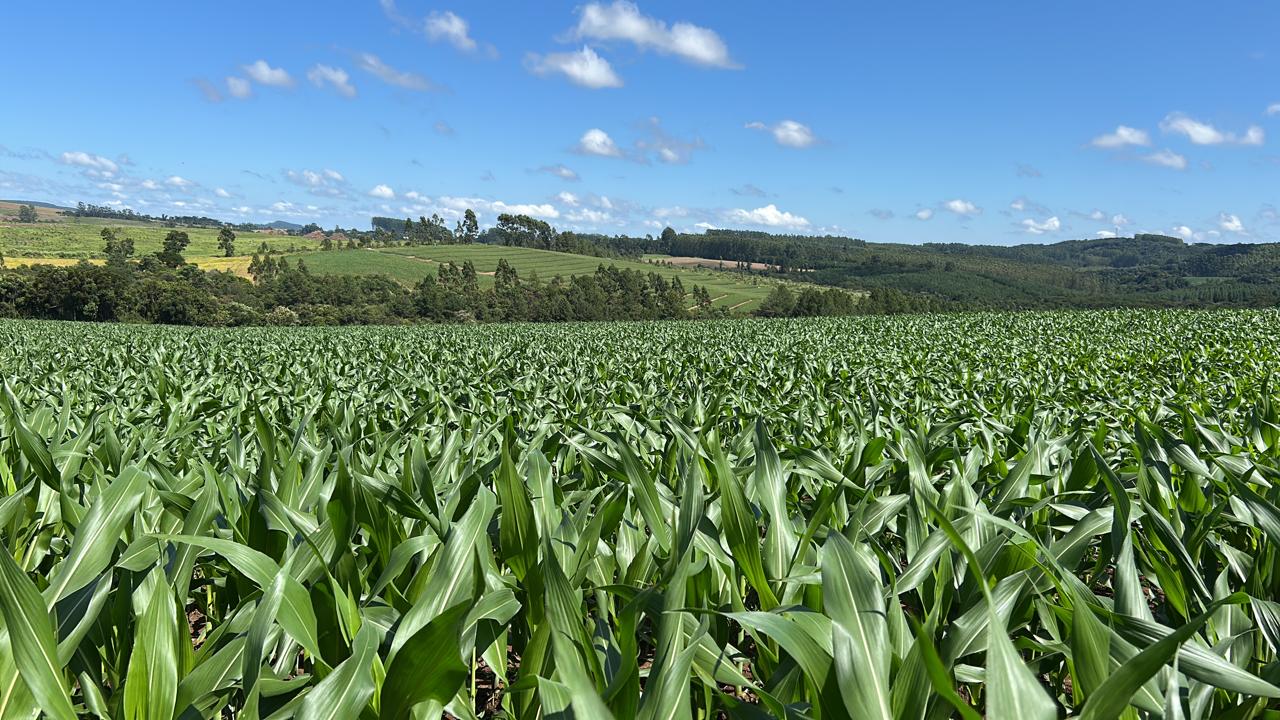 Agricultura Extensiva Wiki Commons