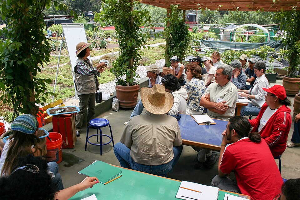 Agricultura Orgânica Wikimedia Commons
